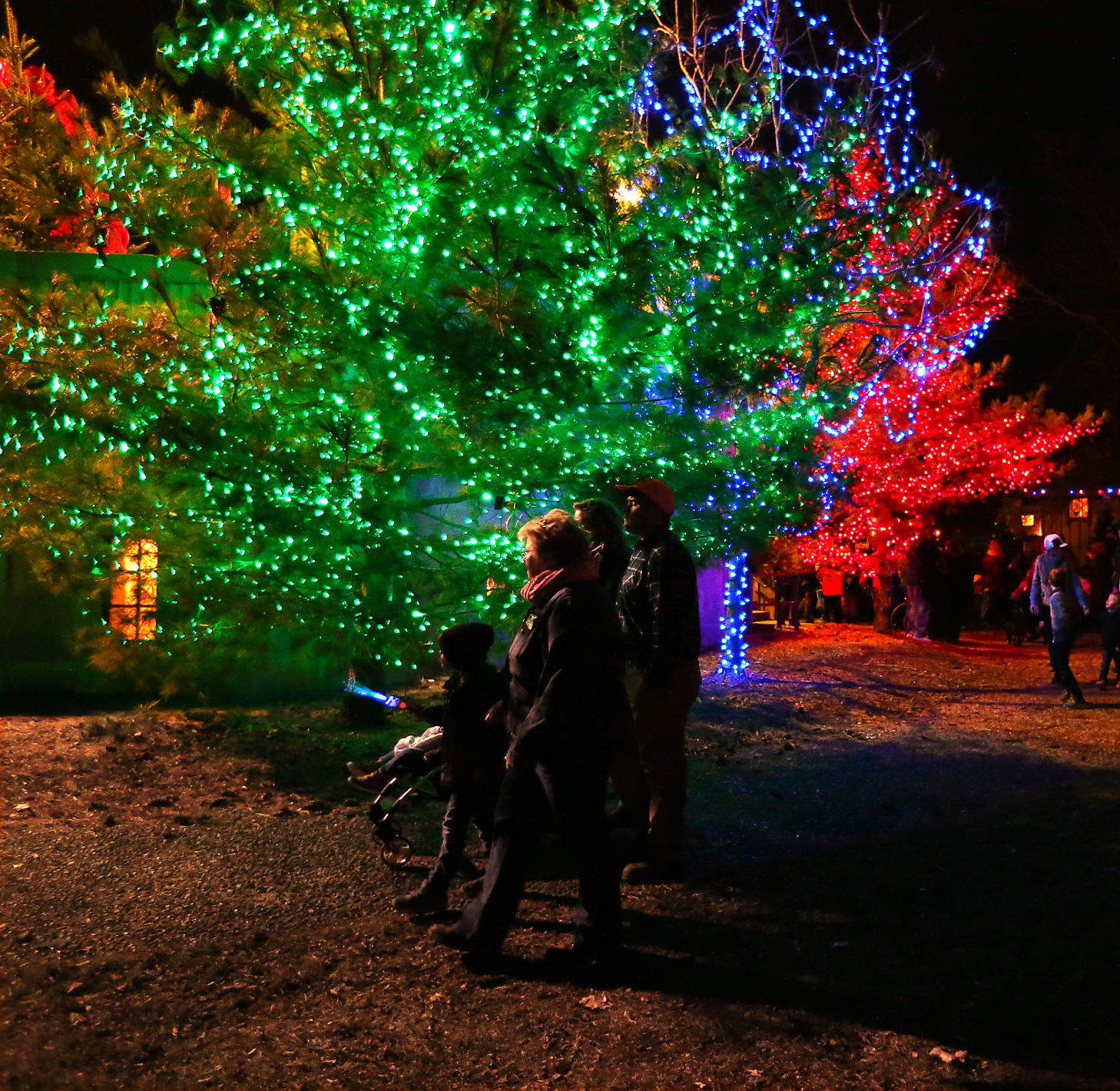 2017 Rotary Lights display in Riverside Park